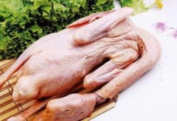 鹅吃不吃方瓜,揭秘鹅是否爱吃方瓜