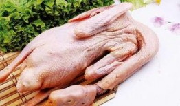 鹅吃不吃方瓜,揭秘鹅是否爱吃方瓜