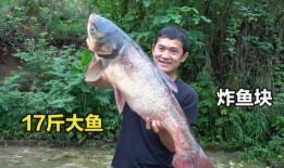 吃瓜鱼什么