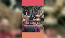 星球 重启吃瓜,吃瓜群众的新篇章