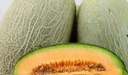 吃完虾子吃哈密瓜,探寻美食搭配的奇妙之旅