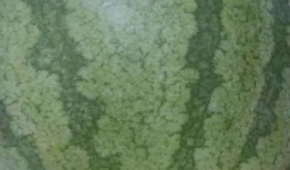 开封尉氏北街吃瓜,夏日吃瓜盛地，品味古城风情