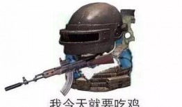 吃鸡用什么瓜,瓜类美食大揭秘