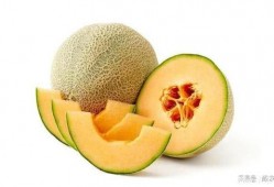 带你吃瓜送金币,畅享娱乐盛宴