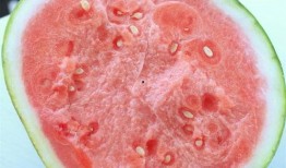 合肥吃瓜视频,一网打尽热门视频瞬间