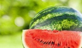 麦芽吃瓜,探寻传统美食的传承与创新