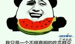 吃瓜群众梗图,吃瓜群众视角下的娱乐圈风云变幻