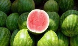 今年吃的瓜图片