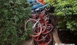 自行车吃瓜,自行车吃瓜，畅享夏日清凉