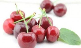 小樱桃吃瓜,小樱桃的夏日吃瓜日记