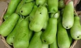 迷糊瓜怎么吃,解锁美味新体验