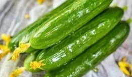 卖完瓜什么季节吃最好,夏日炎炎最宜食瓜时