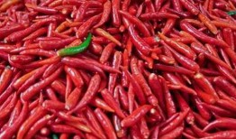 晋江作者吃瓜辣椒,揭秘晋江文坛幕后风云