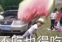 吃瓜小熊异形,揭秘神秘生物的奇幻之旅