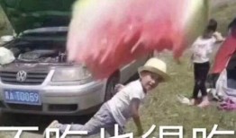 吃瓜小熊异形,揭秘神秘生物的奇幻之旅