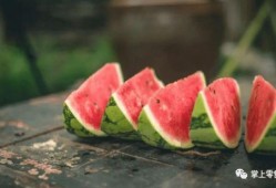 搞笑吃瓜群众转发,笑料百出引人捧腹