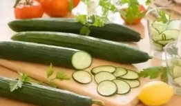 瓜棚吃瓜阅读答案,探寻夏日消暑的趣味与智慧