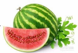 广东夏天吃的瓜,广东夏日特色瓜果大盘点