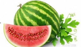 广东夏天吃的瓜,广东夏日特色瓜果大盘点