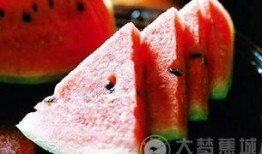 吃瓜群众最佳视频