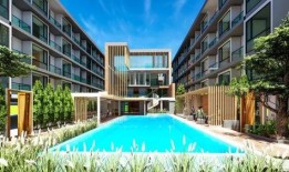 曼哈顿公馆吃瓜,揭秘都市里的“吃瓜”盛事