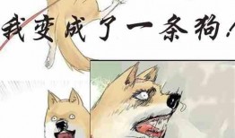 小说深度吃瓜,揭秘小说背后的秘密世界