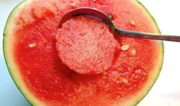 西瓜视频吃瓜吗