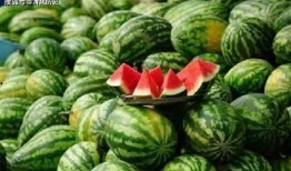 妗妗吃瓜12,揭秘娱乐圈幕后故事