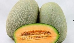 过敏者可以吃哈密瓜吗