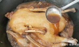 鹅吃不吃方瓜,揭秘鹅是否爱吃方瓜