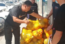 群众来报道吃瓜,揭秘吃瓜背后的故事