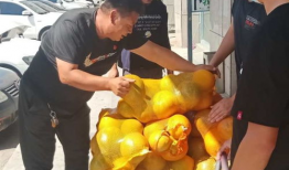 群众来报道吃瓜,揭秘吃瓜背后的故事