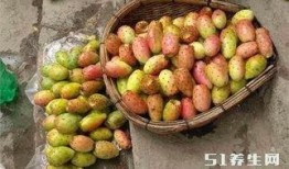 vac仙桃吃瓜,揭秘网络红人吃瓜背后的故事