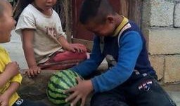 兄妹吃瓜的动作,共享夏日清凉时光