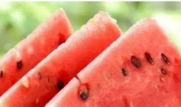 病人梦见偷瓜吃