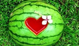 梦见去西瓜地吃瓜