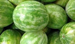 吃羊角瓜舌头麻,舌尖上的麻感之旅