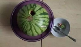 深井冰吃瓜吃瓜吃瓜,一场别开生面的吃瓜之旅