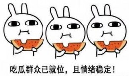 吃瓜伤心使人惆怅,揭秘网络舆论背后的情感漩涡