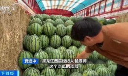 放飞吃瓜完结,一场舌尖上的狂欢盛宴