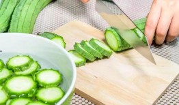 有食欲的吃瓜,跟随有食欲的吃瓜之旅