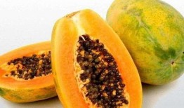 预示着吃瓜,揭秘吃瓜背后的文化现象