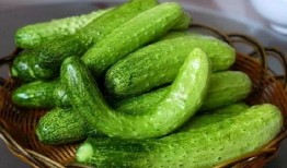 摔伤吃黃瓜好吗,摔伤后食用黄瓜的利弊分析