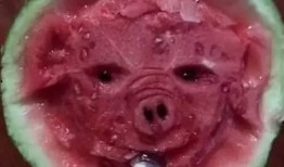 bomb吃瓜艺术,揭秘吃瓜艺术的独特魅力