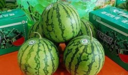 所有官方吃瓜,盘点娱乐圈那些鲜为人知的幕后故事