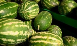 部队吃瓜,揭秘部队的饮食文化