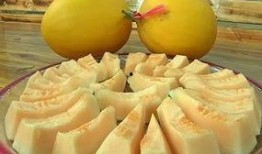 程yoyoyo吃瓜,瓜田里的美食探险记