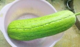 水瓜炒熟后怎么吃