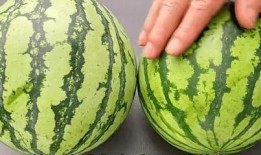 卖完瓜什么季节吃最好,夏日炎炎最宜食瓜时