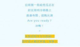 搜索吃瓜歌,揭秘“吃瓜歌”背后的流行文化现象